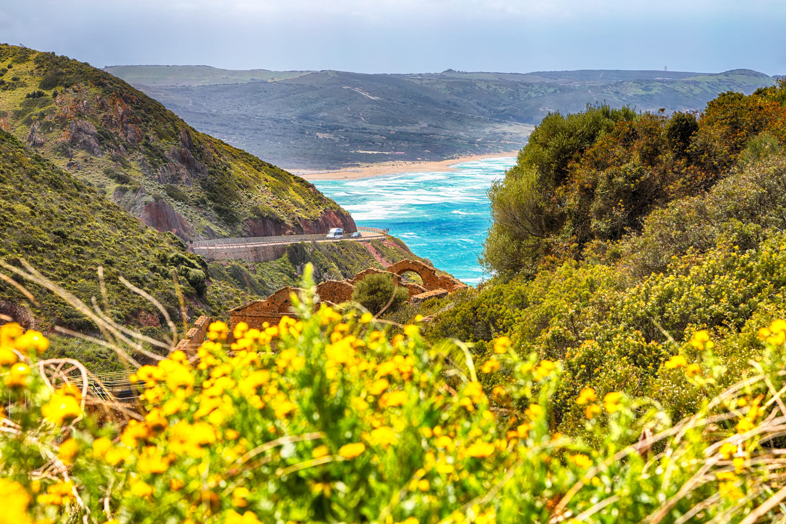 Garden Route Tour