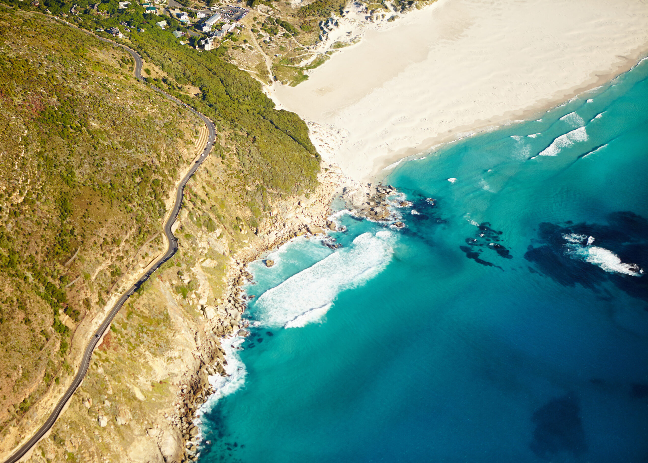 Cape Peninsula Tour