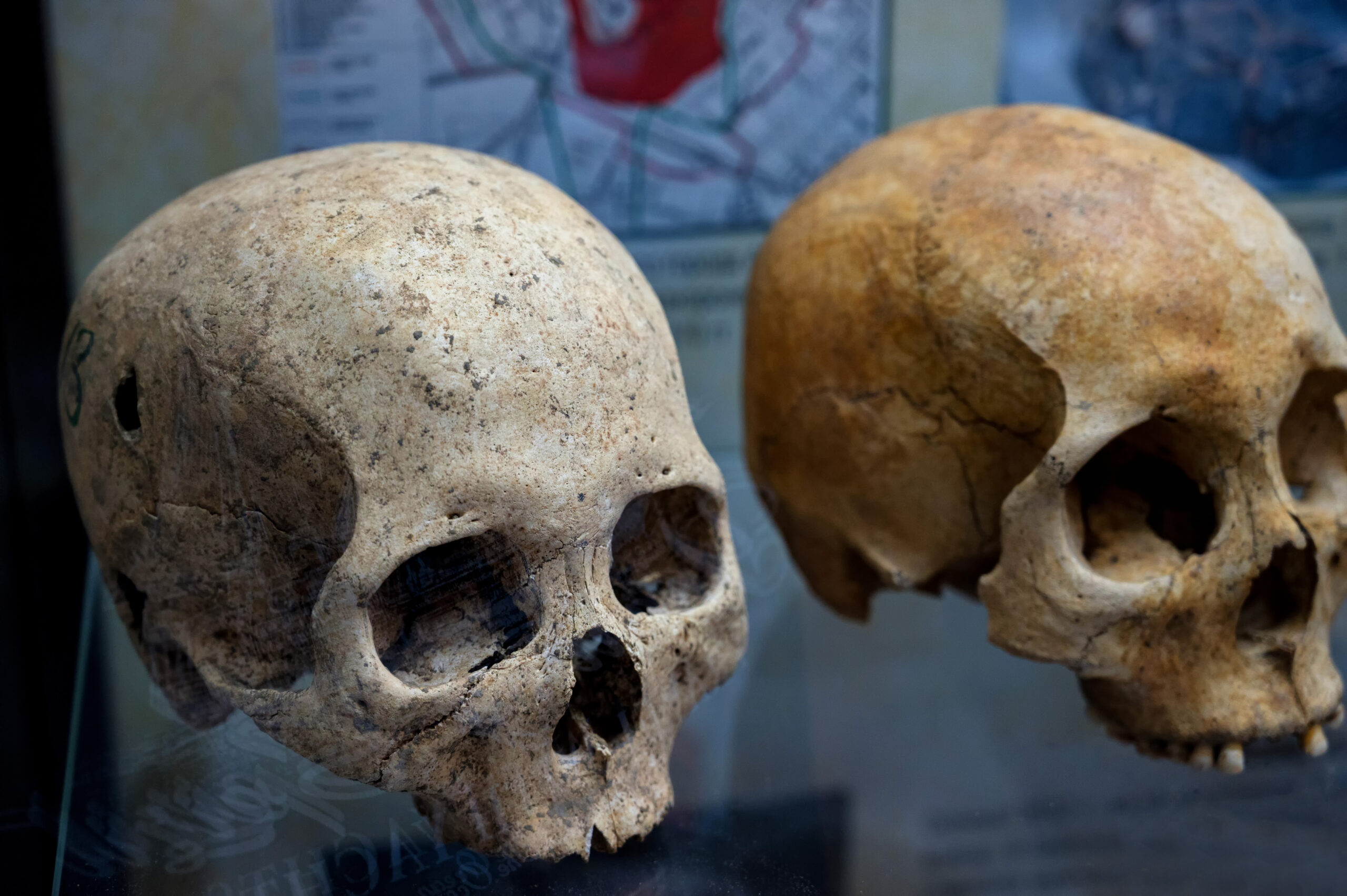 The Cradle of Humankind Tour